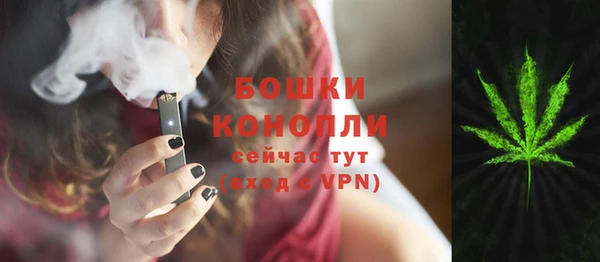 круглые Белокуриха