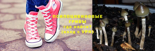 каннабис Баксан
