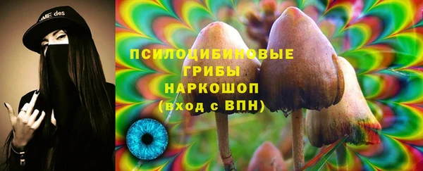 круглые Белокуриха