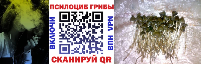 Галлюциногенные грибы Magic Shrooms  Белебей 